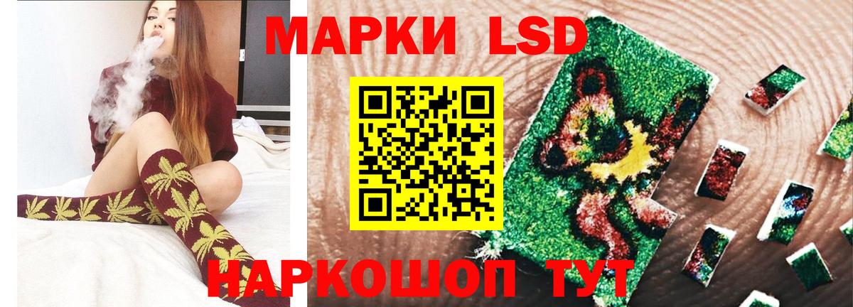 APVP Костомукша